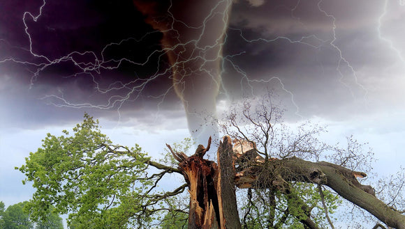 FLO-3_English: Natural Disaster: Storm