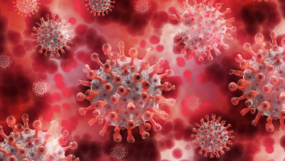 FLO-5_English: Serious Infectious Disease